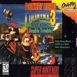 Icon Donkey Kong Country 3-Dixie K Double Trouble ROM