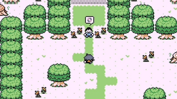 Pokemon X and Y GBA ROM 3