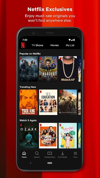 Netflix Mirror APK Download